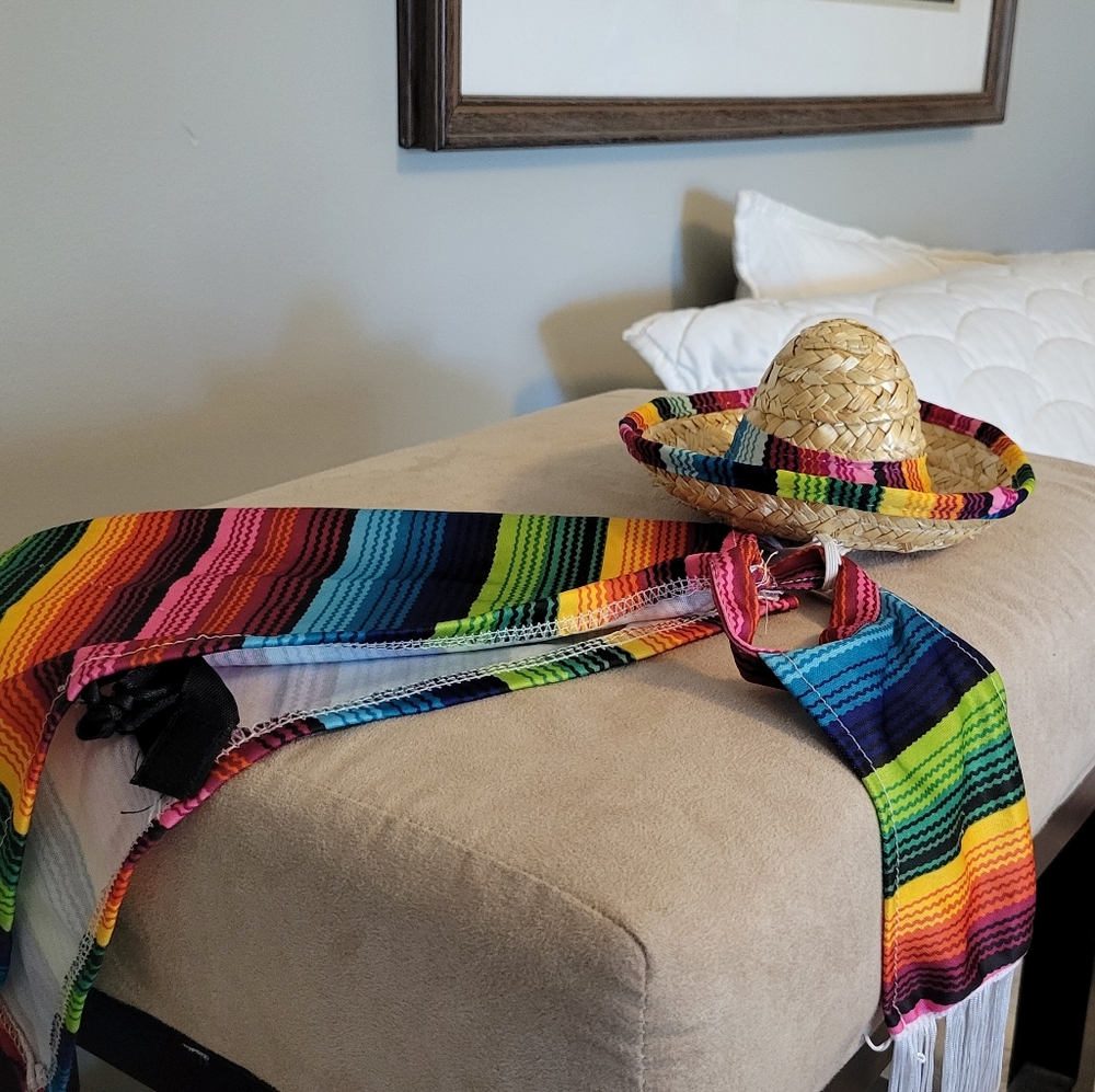 Dog Costume Colorful Mexican Serape & Sombrero Set X-Small Small Dog